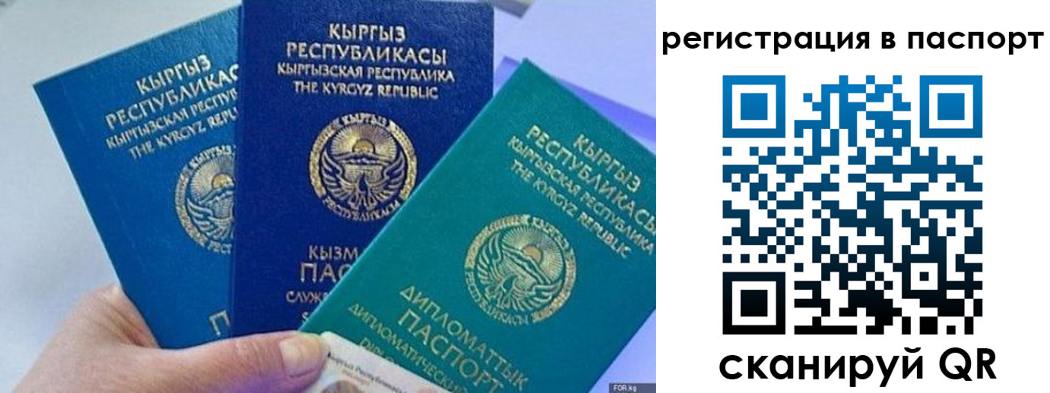 прописка 2025 в Суздали